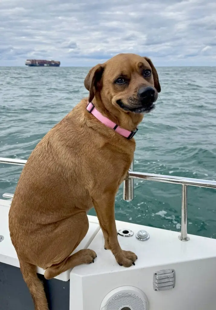 Miss Angie on 5 More Minutes Charters