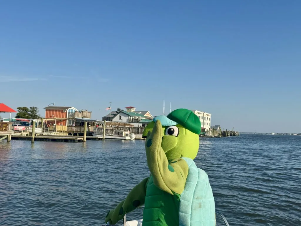 Loki loggerhead Oak island